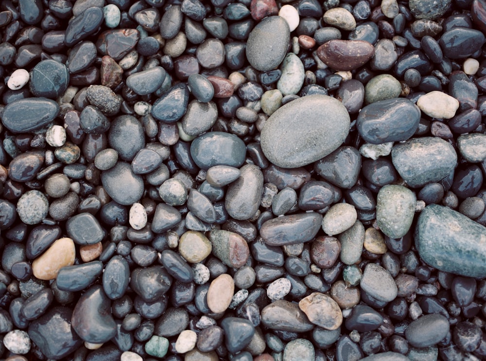 assorted-color pebbles