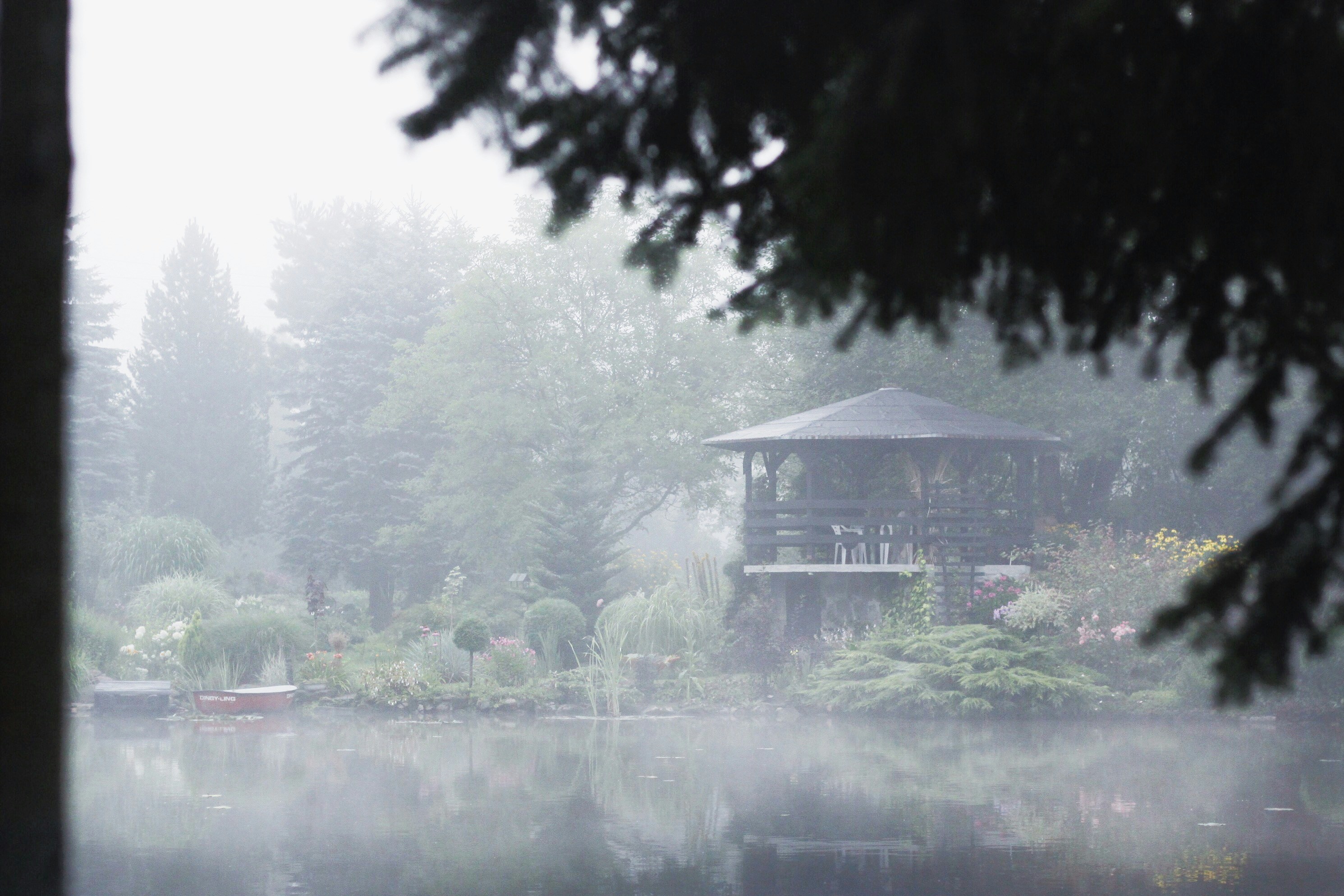 Free Unsplash photo from Jakub Ziemba