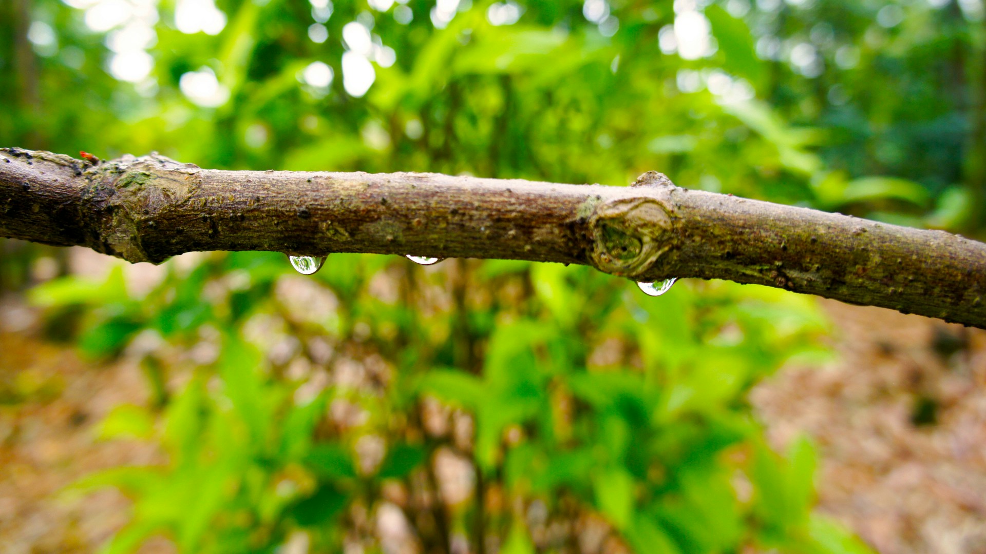 Free Unsplash photo from Brian Urso