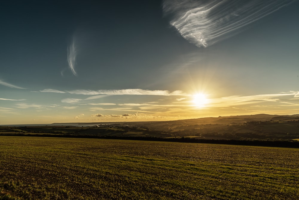 green field