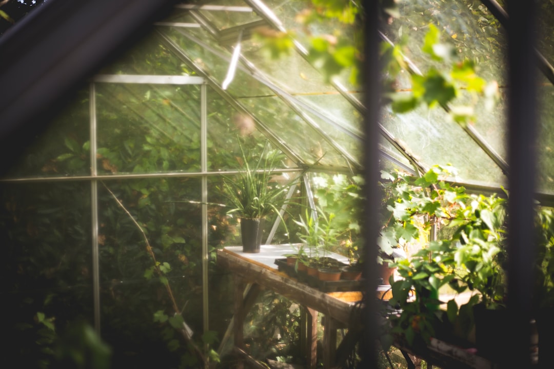 Comment protéger un serre de jardin contre les tempêtes ?