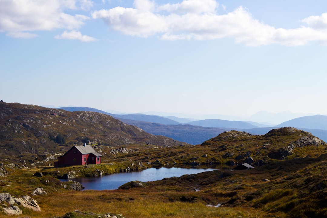 red house near body of water, Red cabin on the fjords