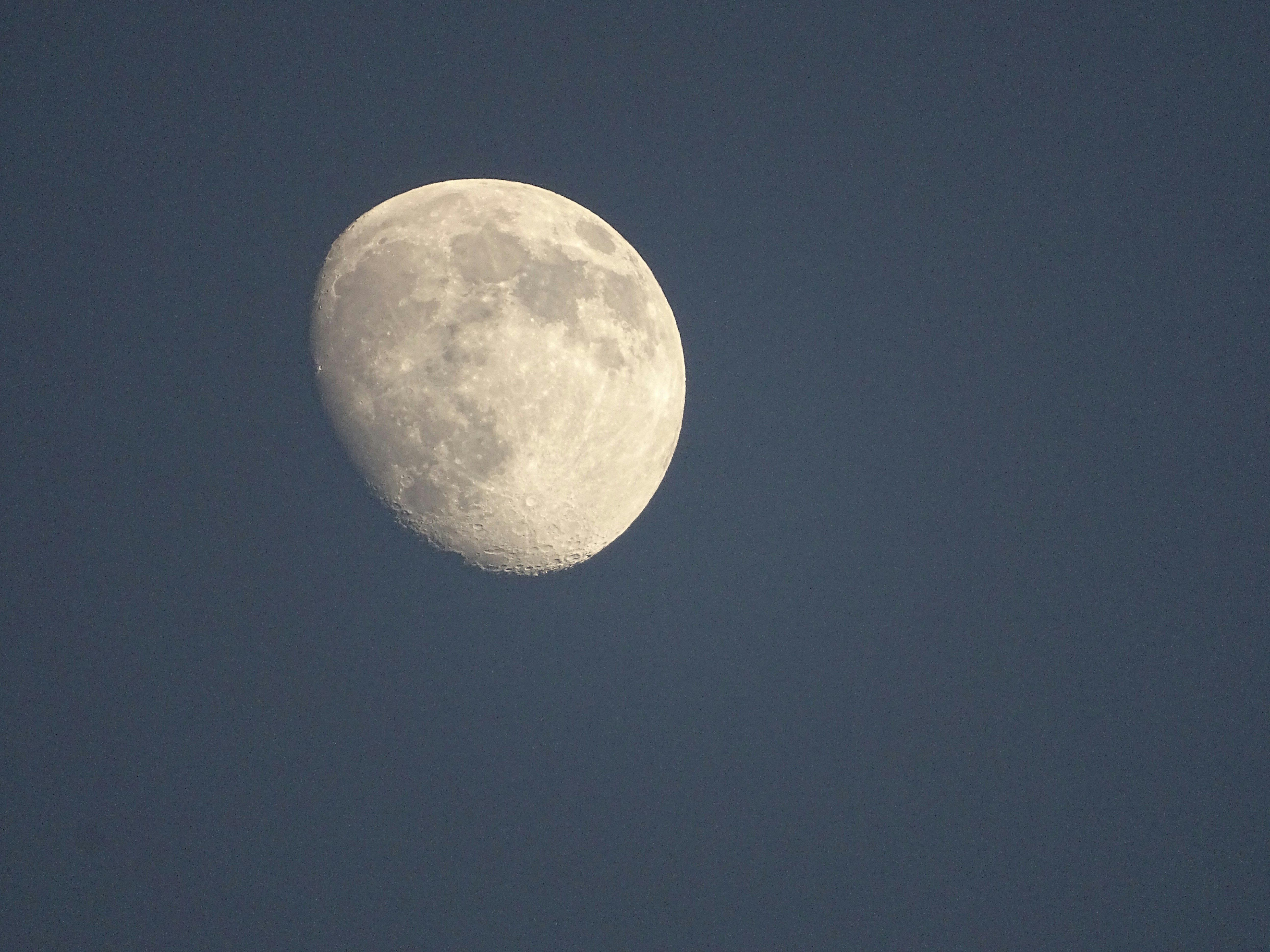 Free Unsplash photo from Maya Bielik