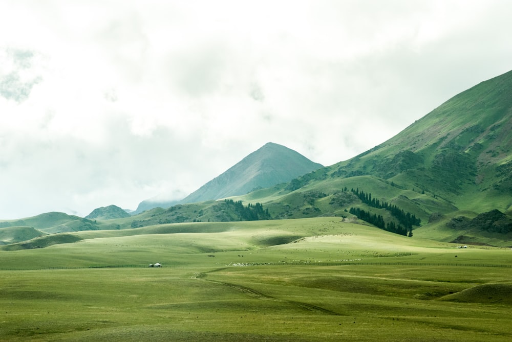 bird's eye view of grassland beside mountain