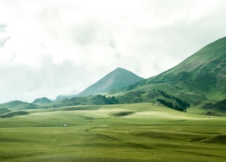 bird's eye view of grassland beside mountain