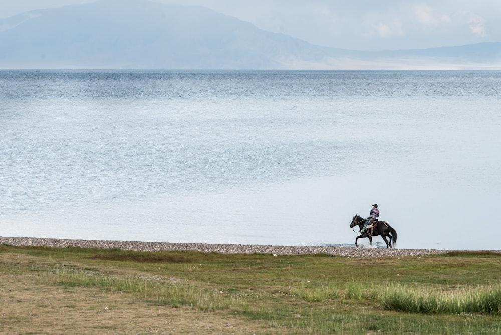 Persona montada en un caballo negro cerca del cuerpo de agua