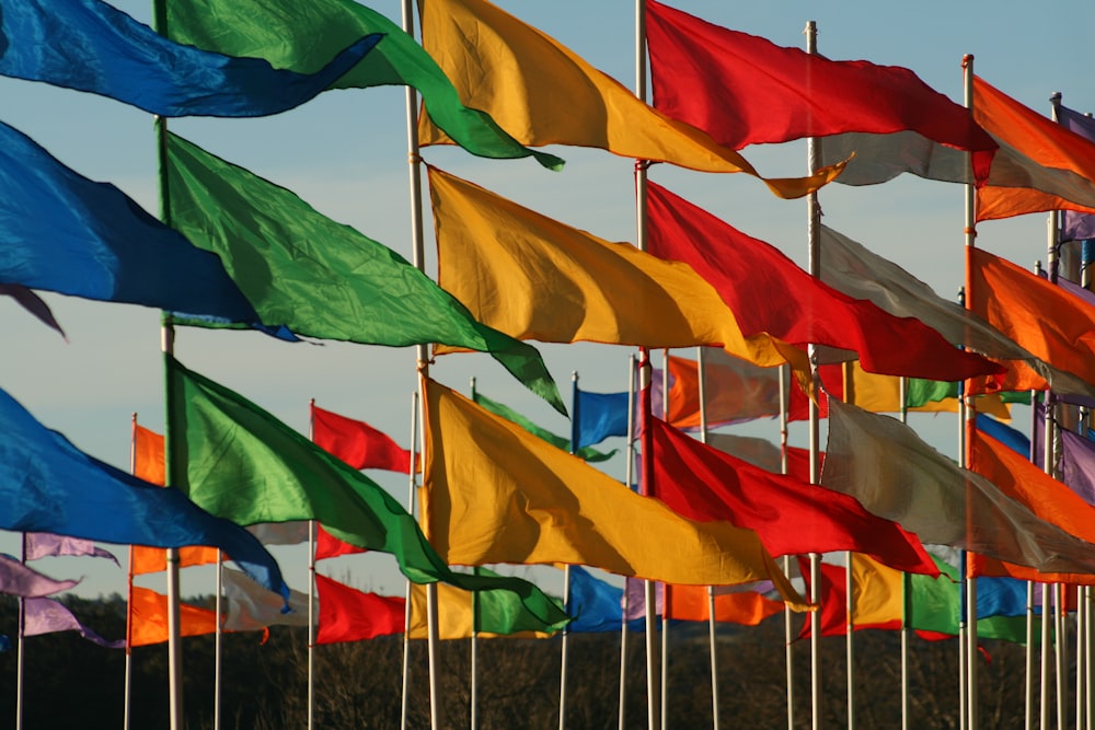 assorted-colored flags waving in the wind