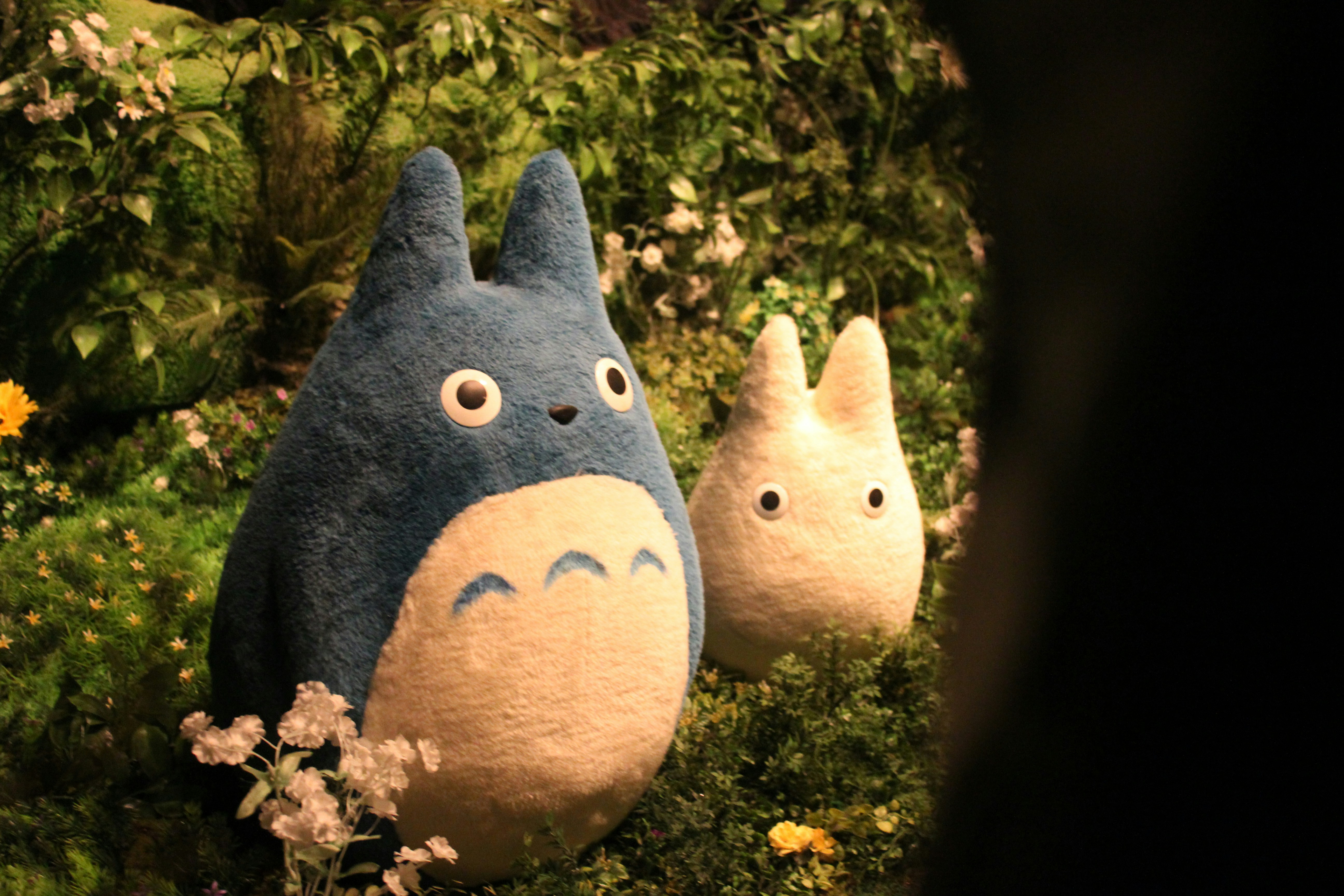 Free Unsplash photo from Sojin Kim