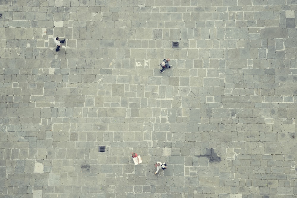 quattro persone che camminano nella fotografia di vista dall'alto