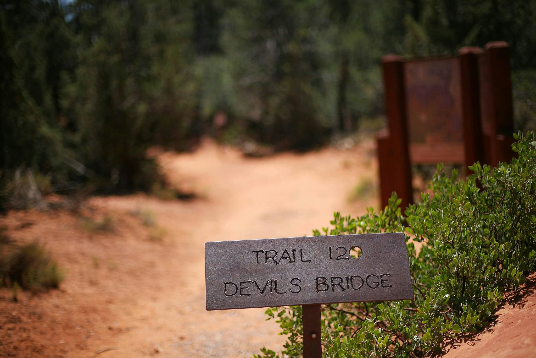 Free Unsplash photo from Katie Leonard