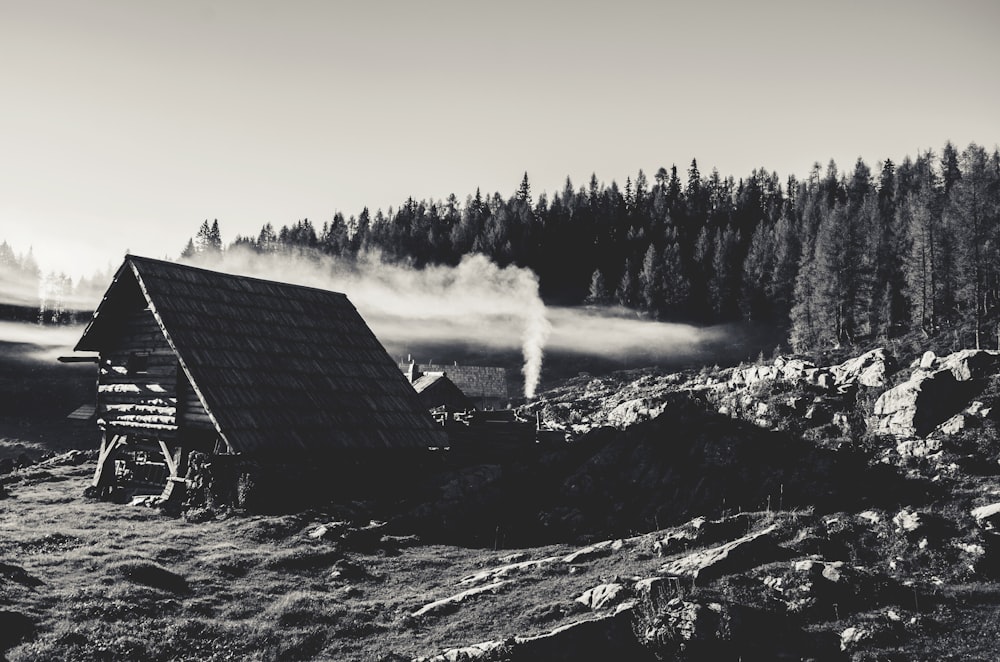 greyscale photography of shed and trees