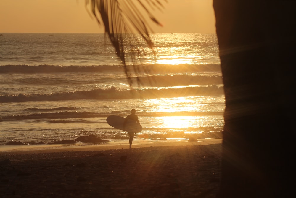personne portant une planche de surf en marchant sur le bord de mer pendant l’heure dorée