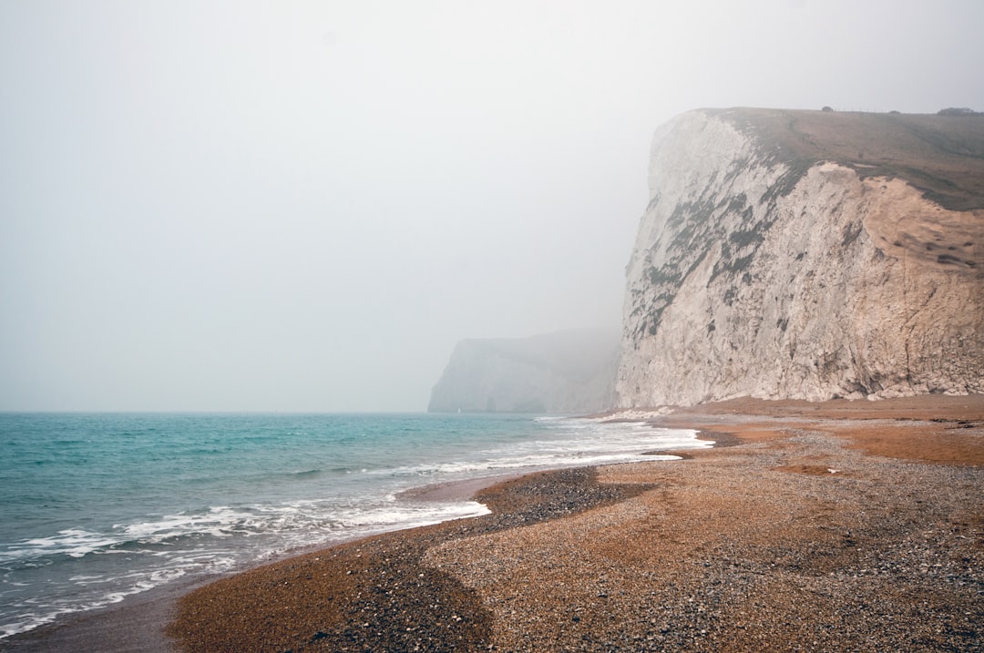 Bluffs line the seashore of a foggy ocean beach