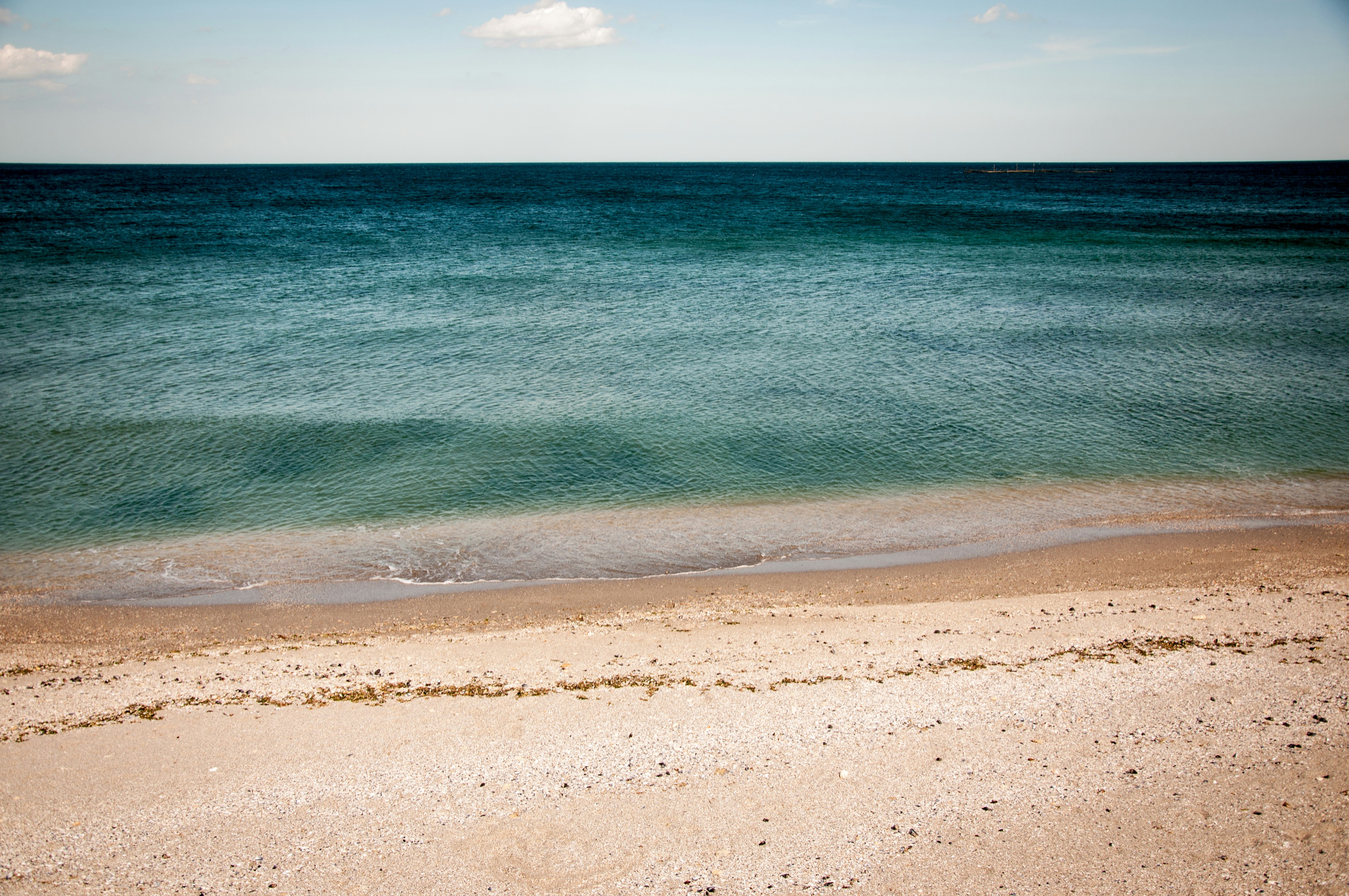 ocean and beach shore