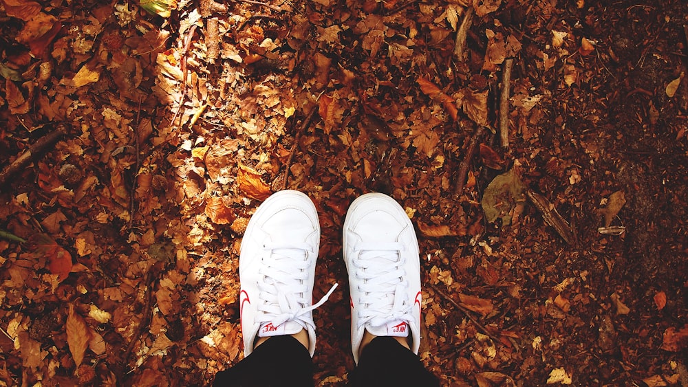 person standing on dried leaves