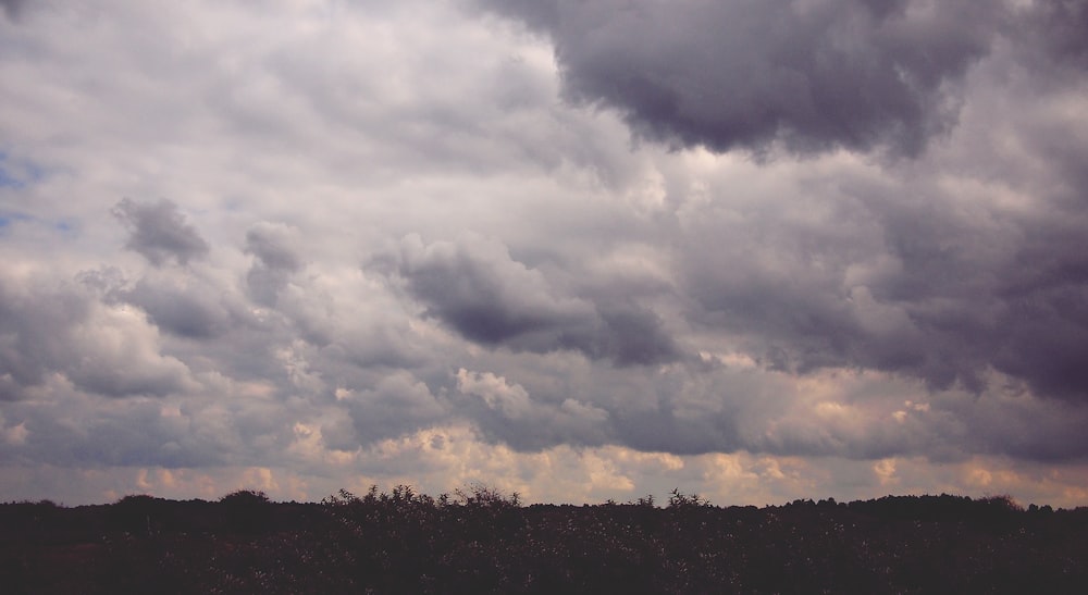 Weiße Wolken über dem Feld