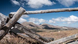 A rustic wooden fence lining the edge of the ranch with rolling hills in the background.