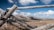 A rugged wooden fence stretching across a golden prairie under a wide blue sky.