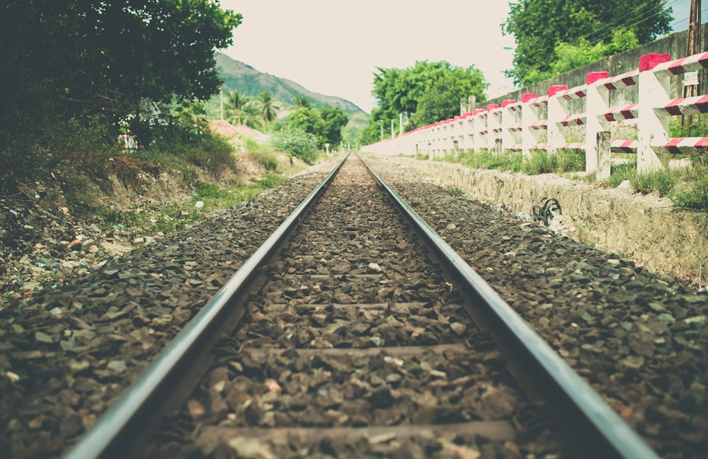 fotografia ad angolo basso della ferrovia del treno