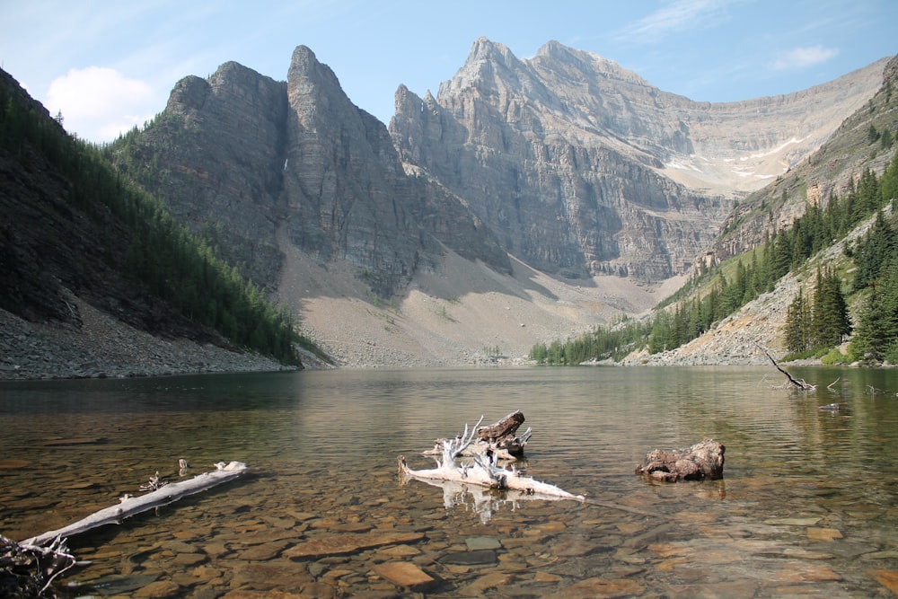 body of water near gray mountain