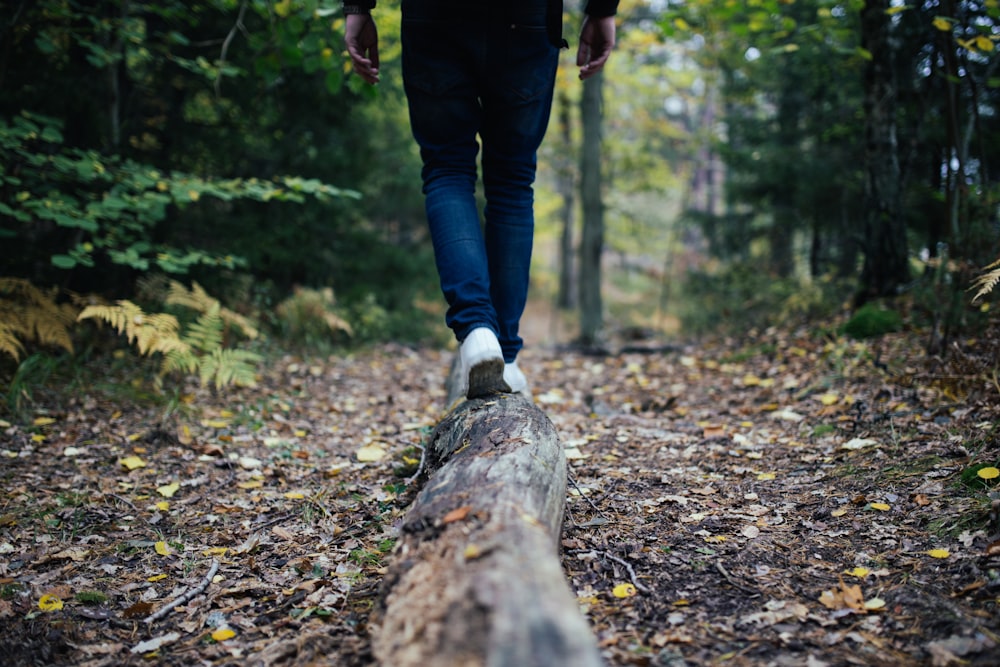 uomo che cammina sulla foresta