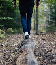 man walking on forest