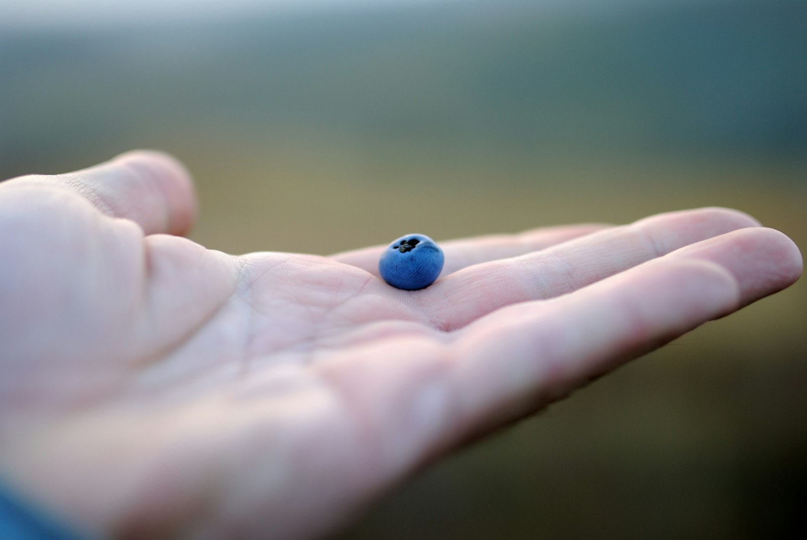 Sigma 35mm F1.4 DG HSM Art sample photo. Person holding blue bead photography