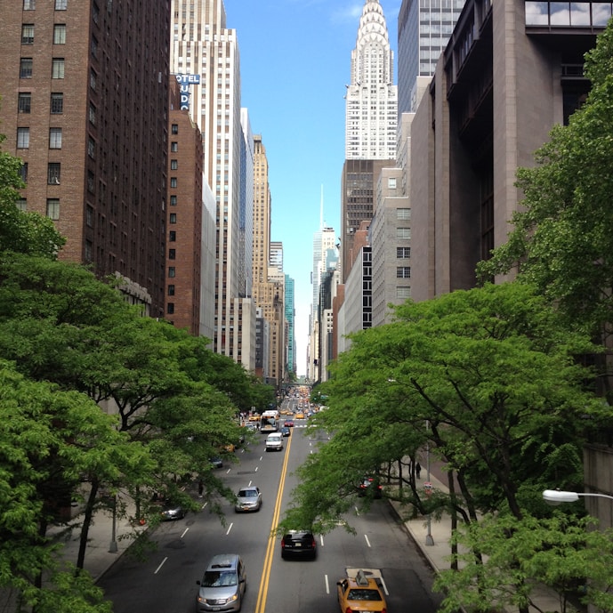 city road surrounding buildings during daytime