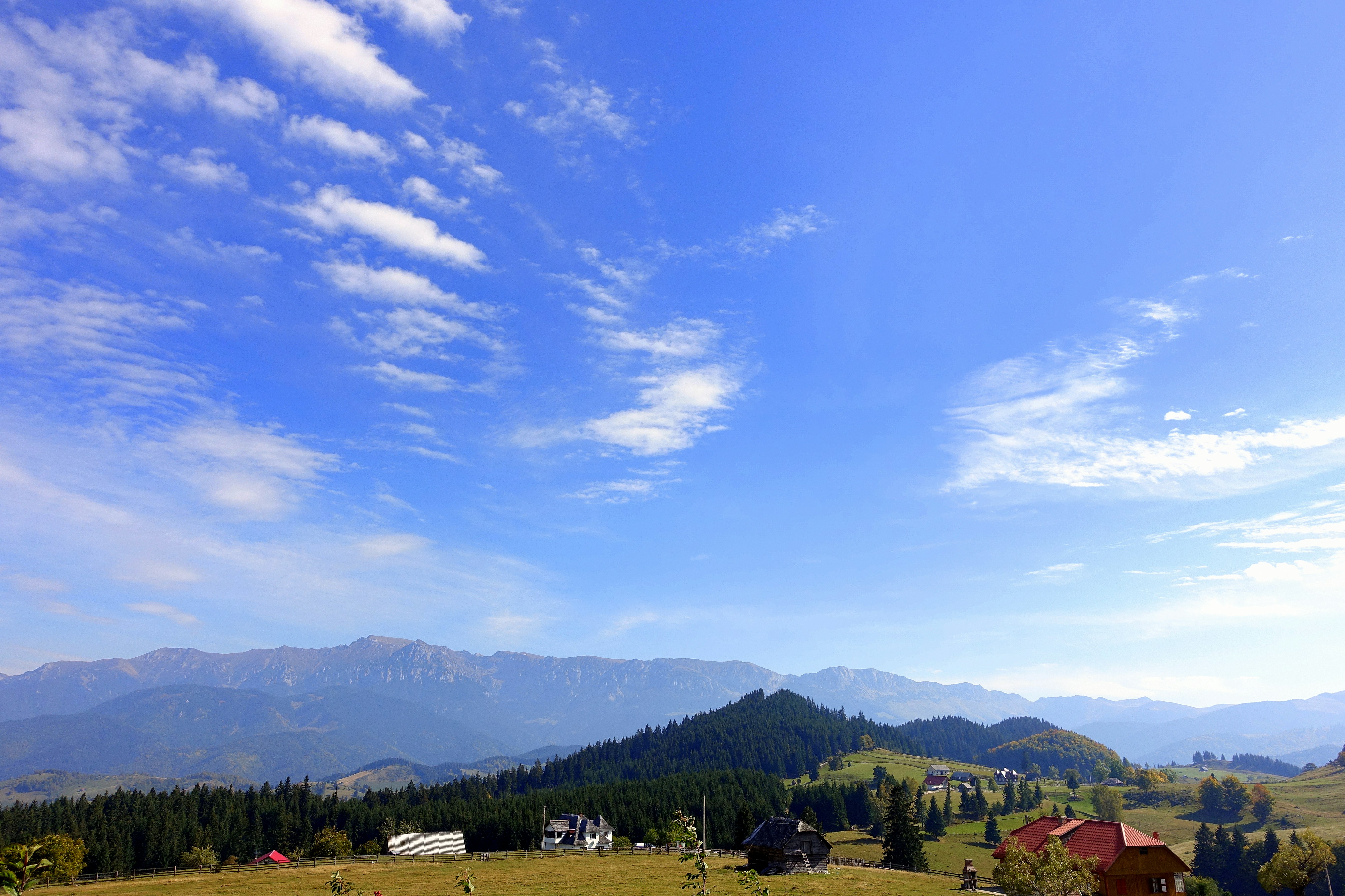 Free Unsplash photo from Radu Trifan