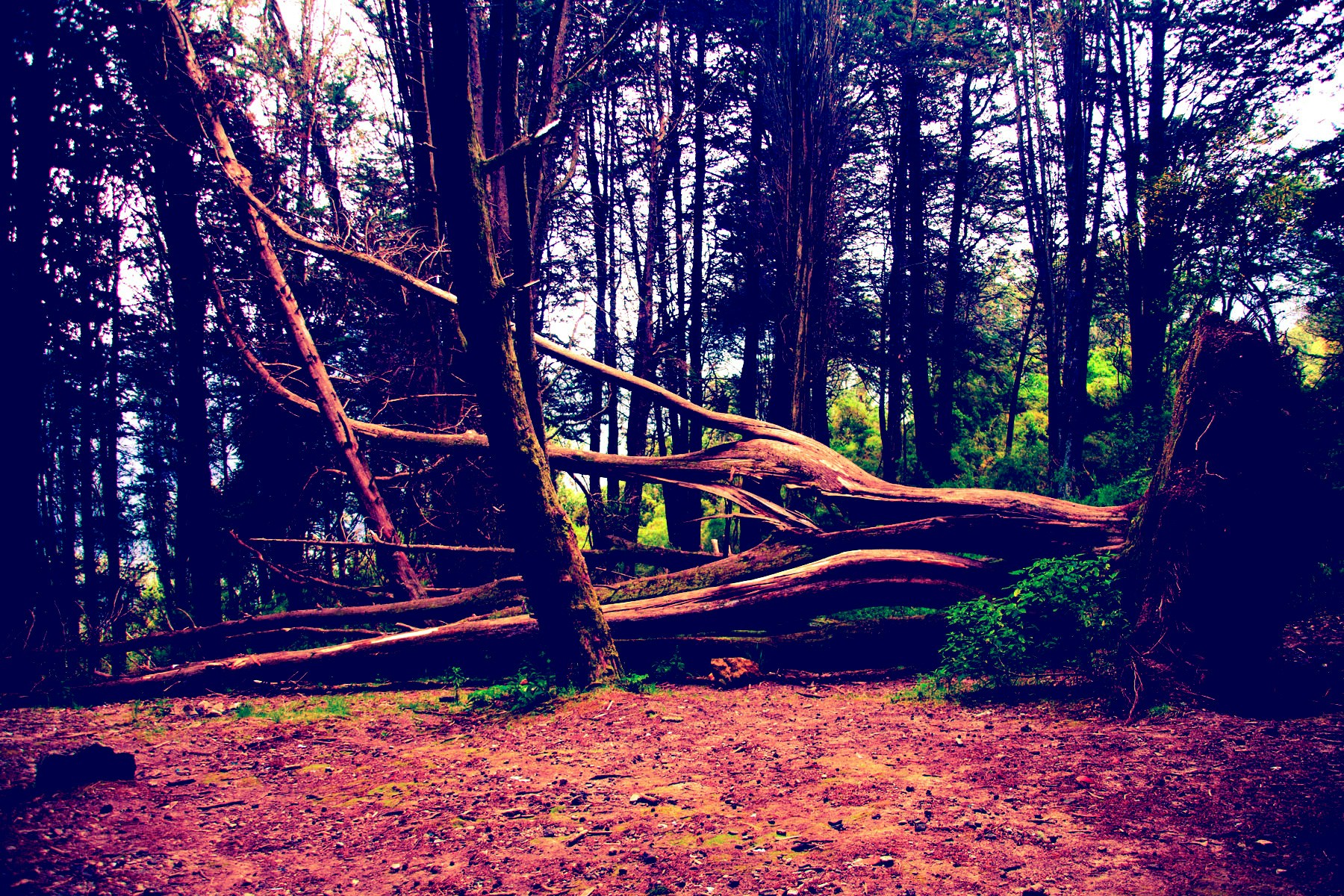 Free Unsplash photo from Juan Tapias