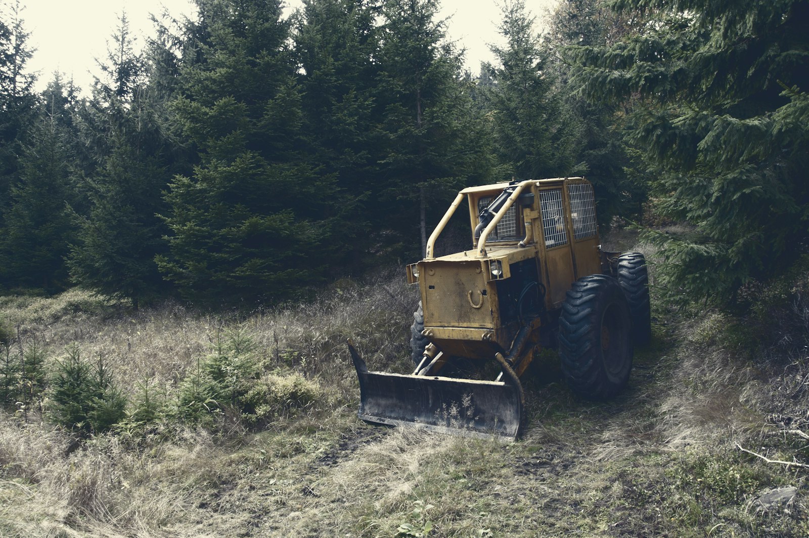 Nikon D300S sample photo. Front loader on green photography