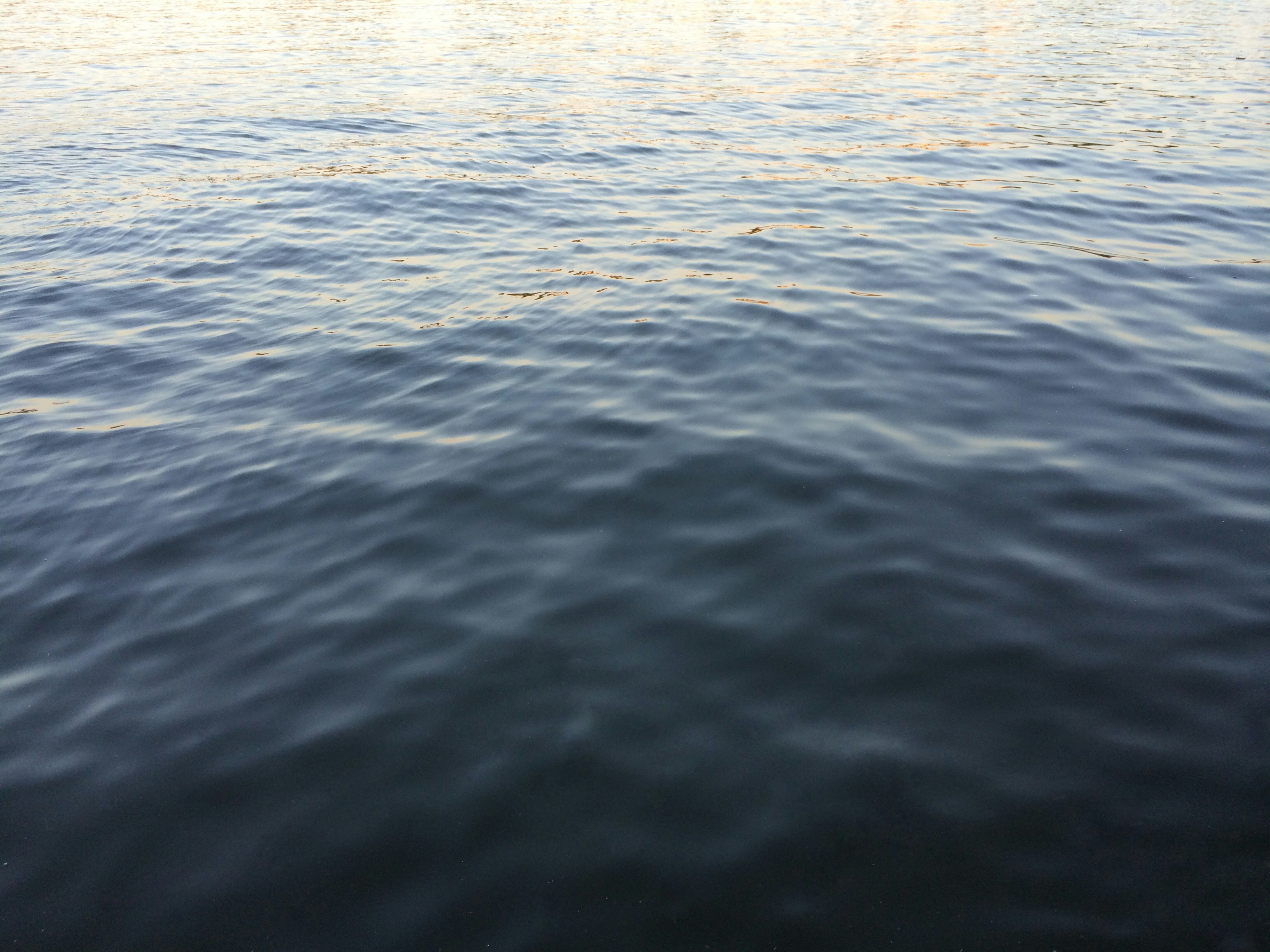 Free Unsplash photo from Jadon Barnes