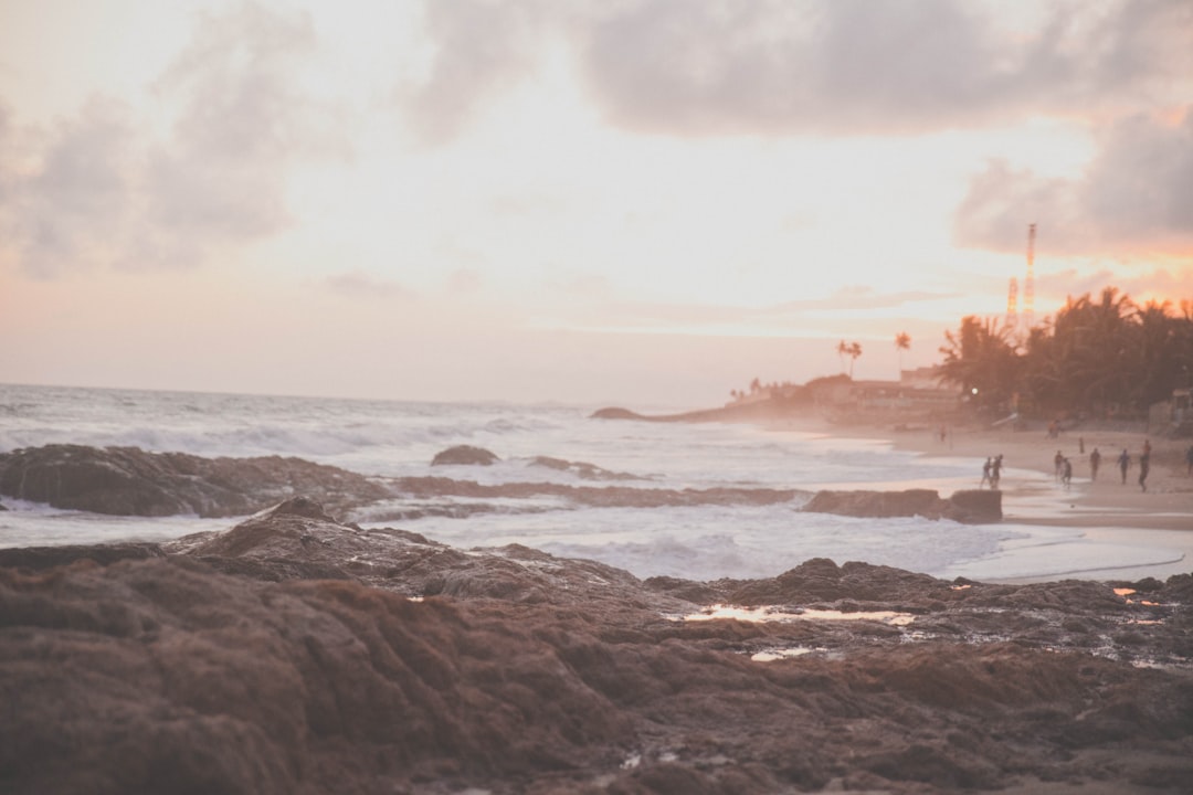 landscape photography of beach