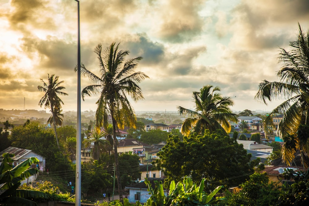 landscape photography of village