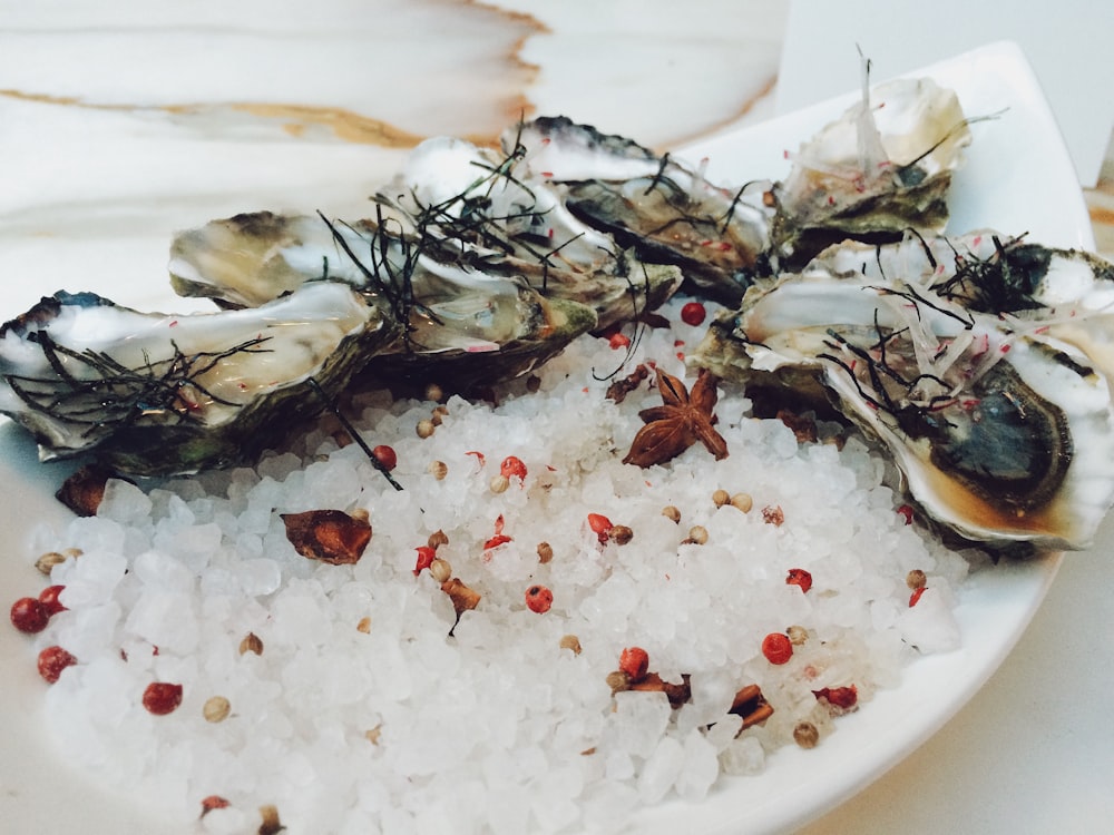 oysters on ceramic plate