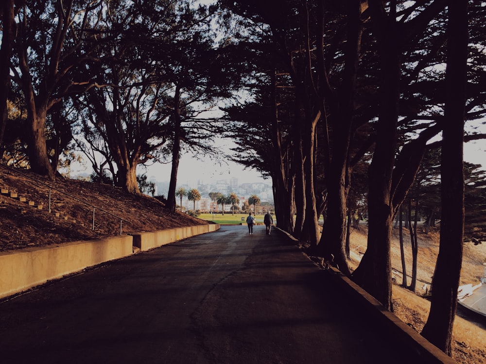 person walking towards grass field