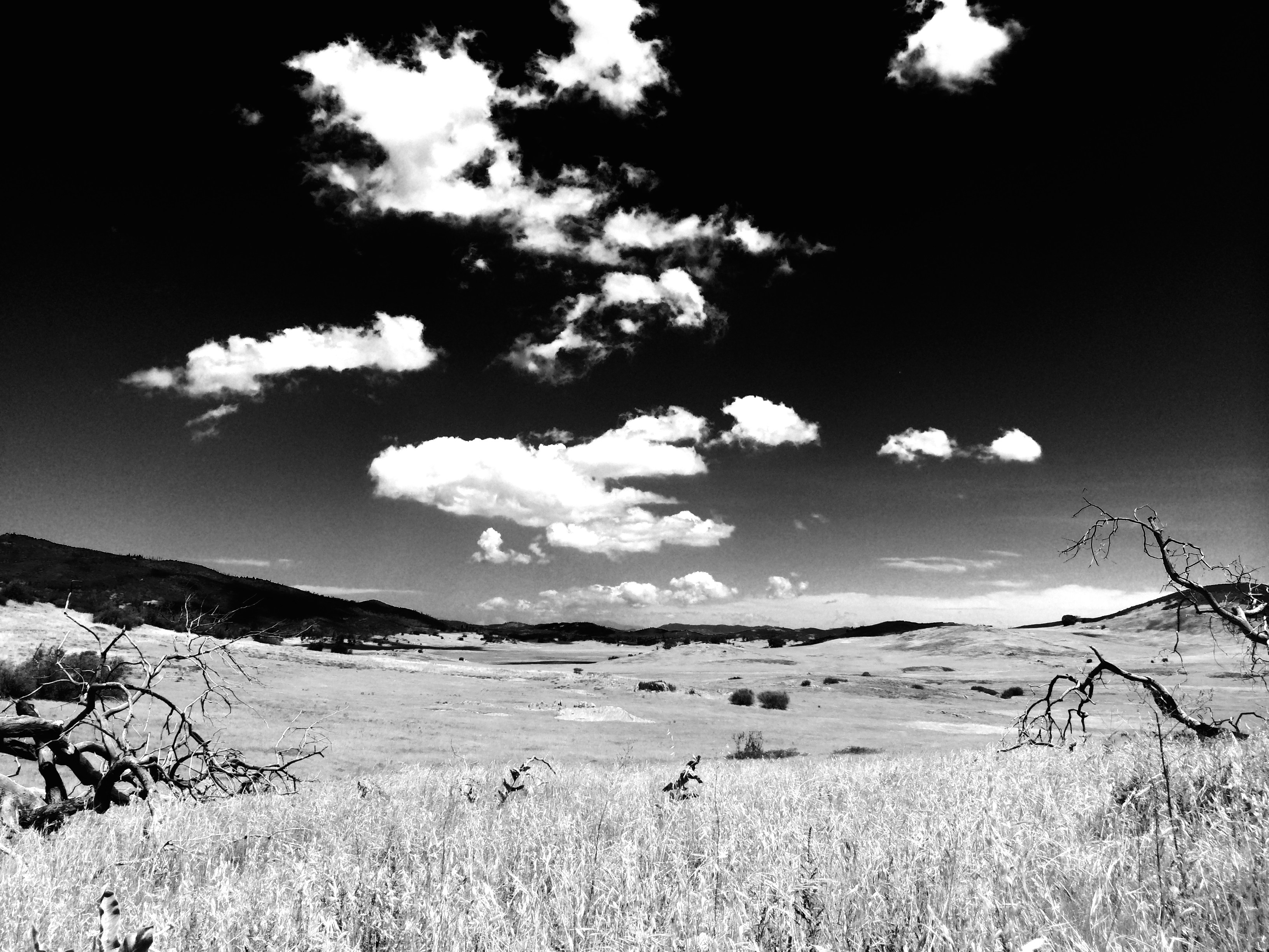 Free Unsplash photo from Anthony DiLaura