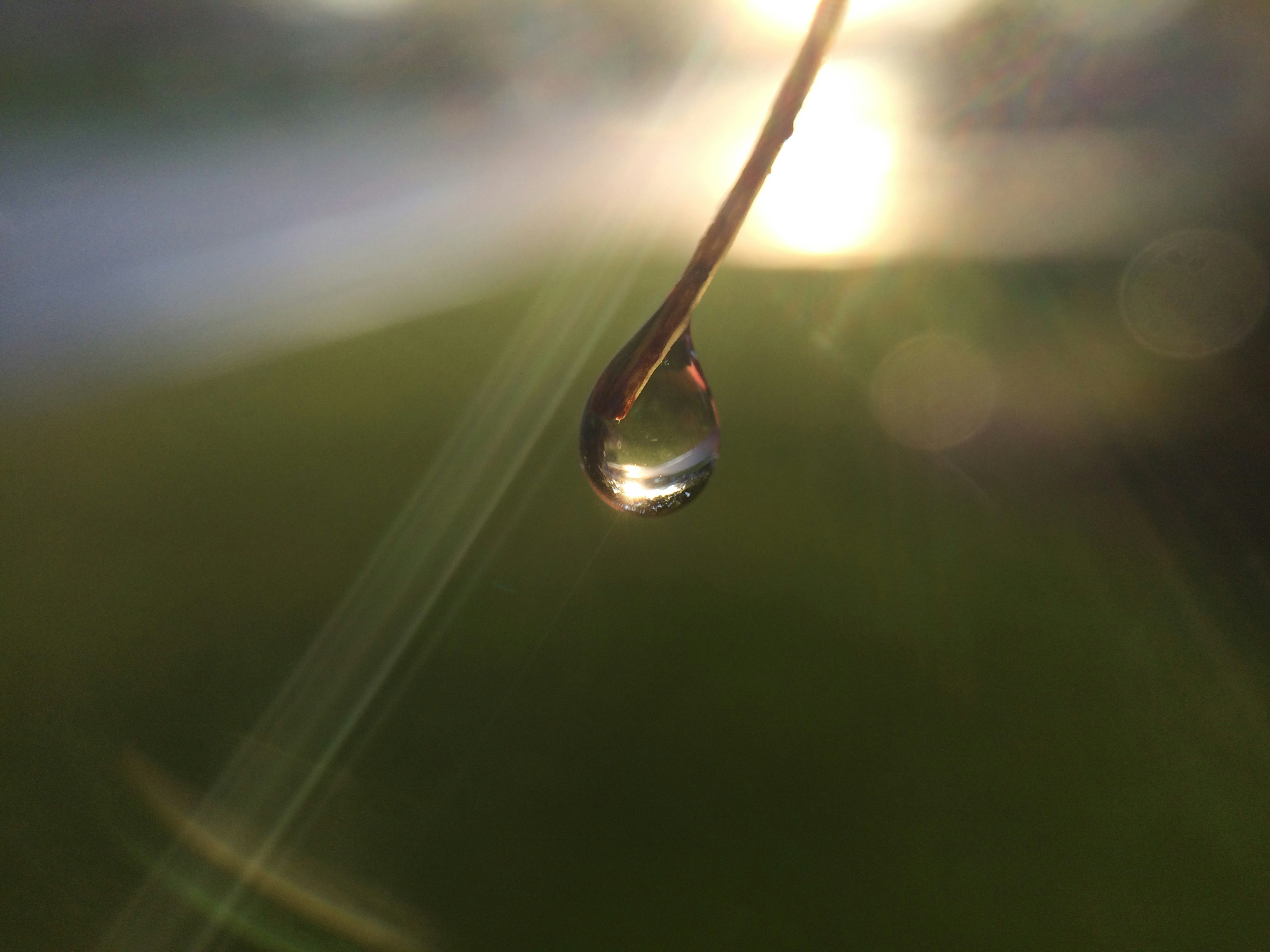 Free Unsplash photo from Anthony DiLaura