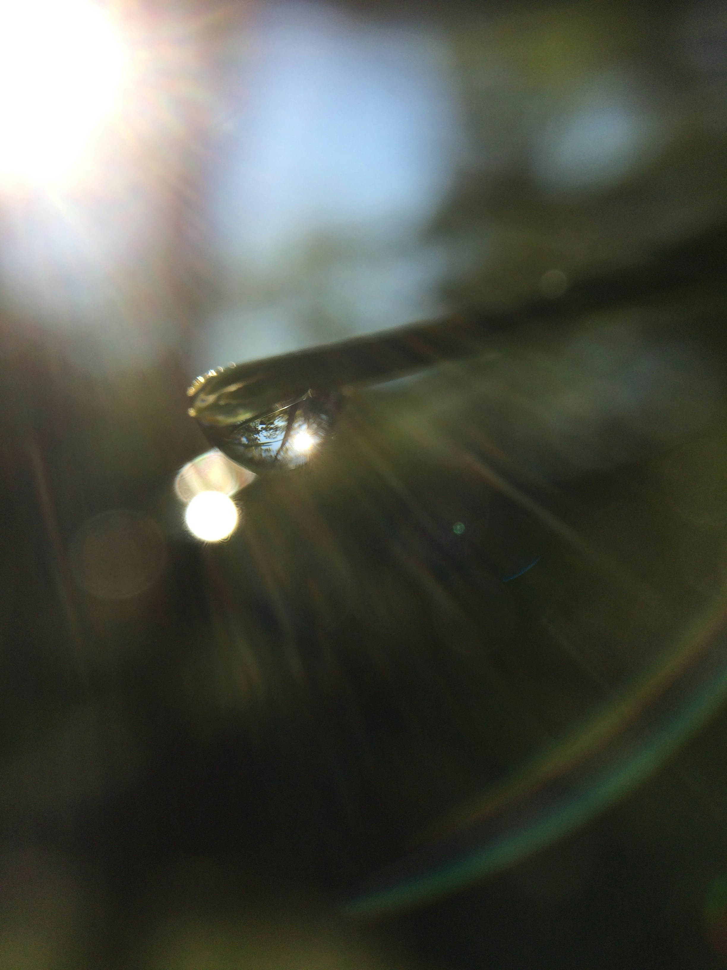 Free Unsplash photo from Anthony DiLaura