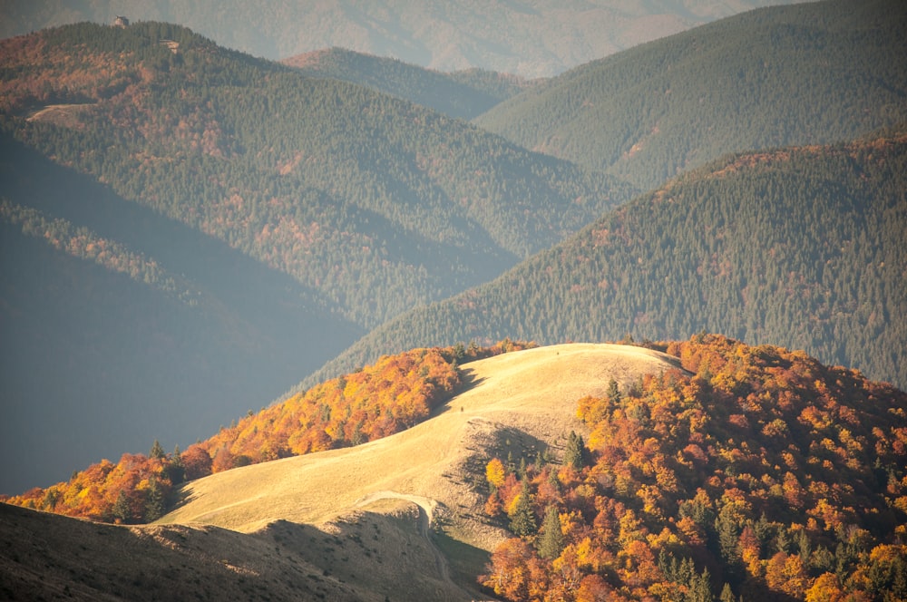 beige and green mountain