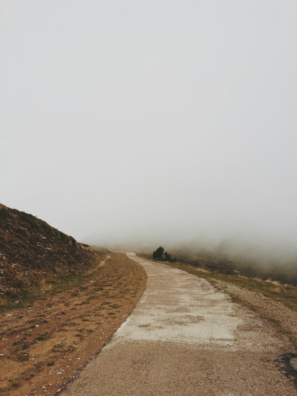 scenery of a road under fog