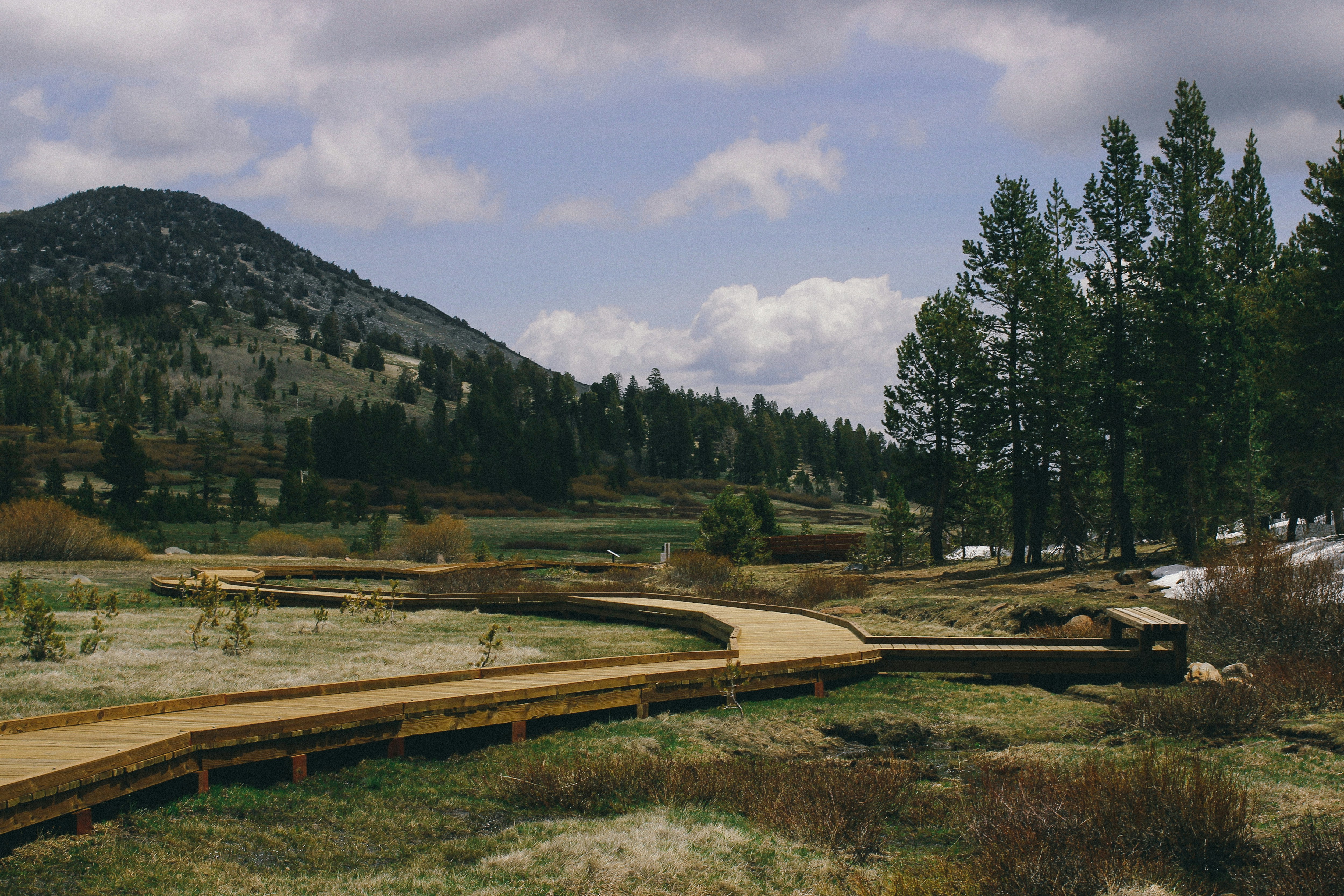 Free Unsplash photo from Pavan Trikutam