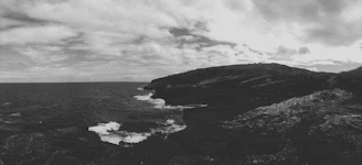 A moody, high-contrast image of a rugged British Columbia coastline under overcast skies, with slate water and driftwood in the foreground.