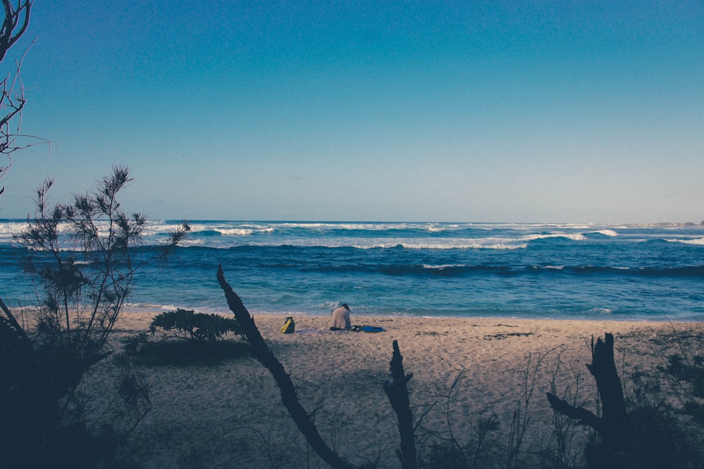 fotografia da paisagem marítima do litoral