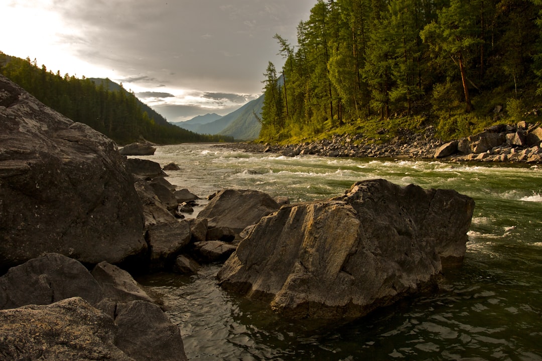 river between trees and rocks, Rocks in the mighty river