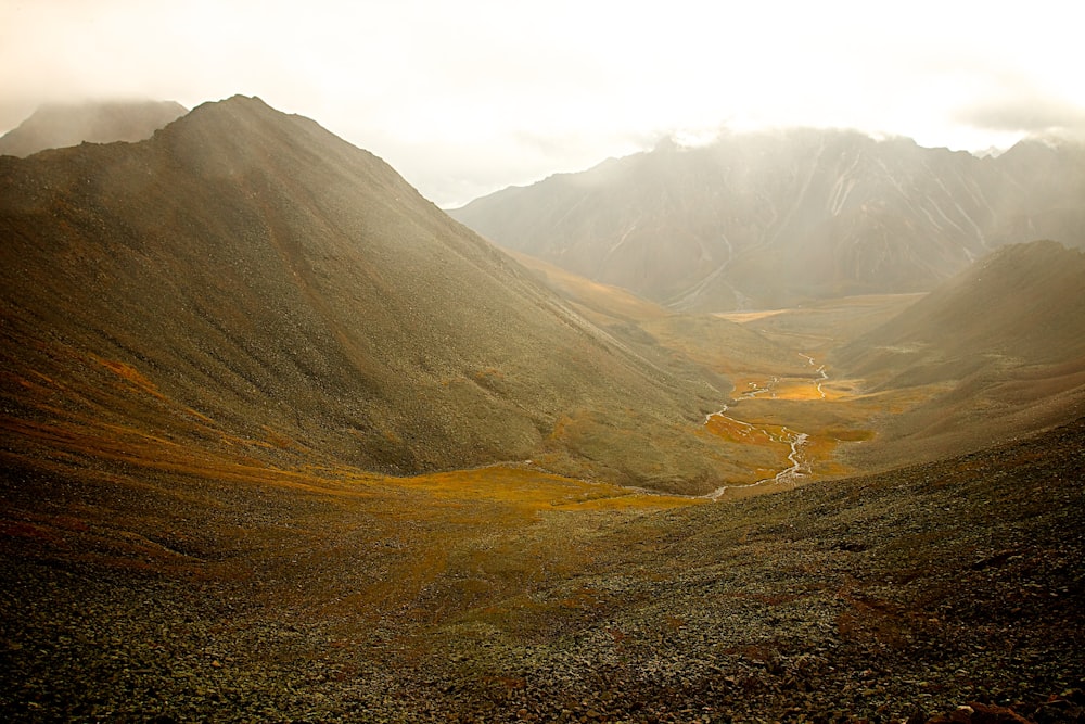 montagnes vertes couvertes de brouillard pendant la journée