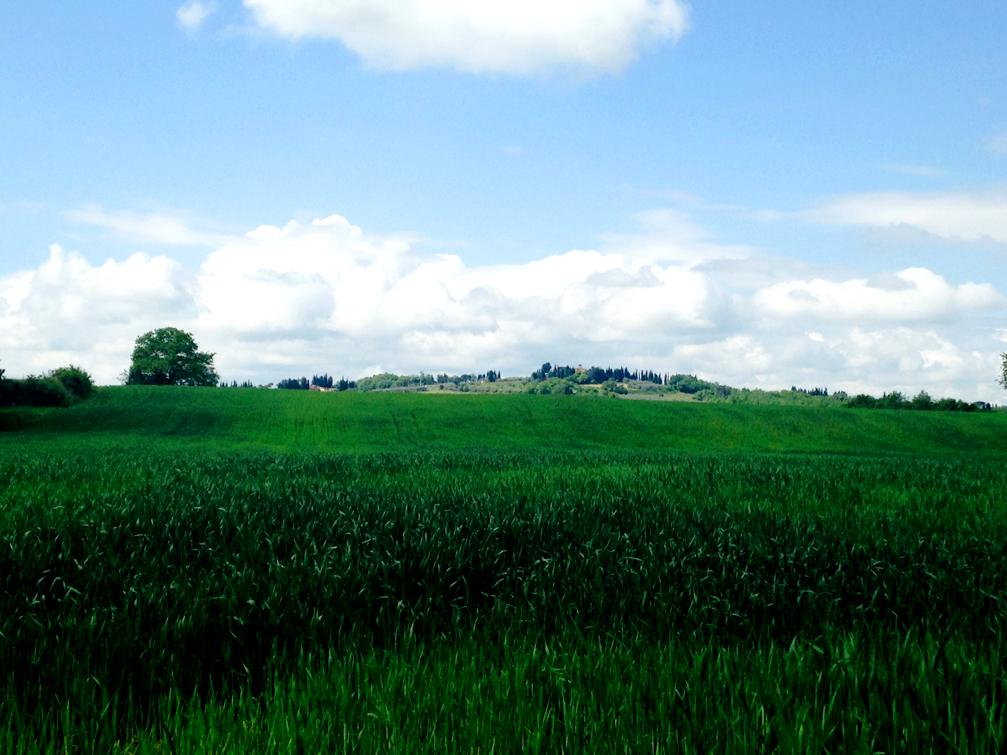 Free Unsplash photo from Massimiliano Fazzini