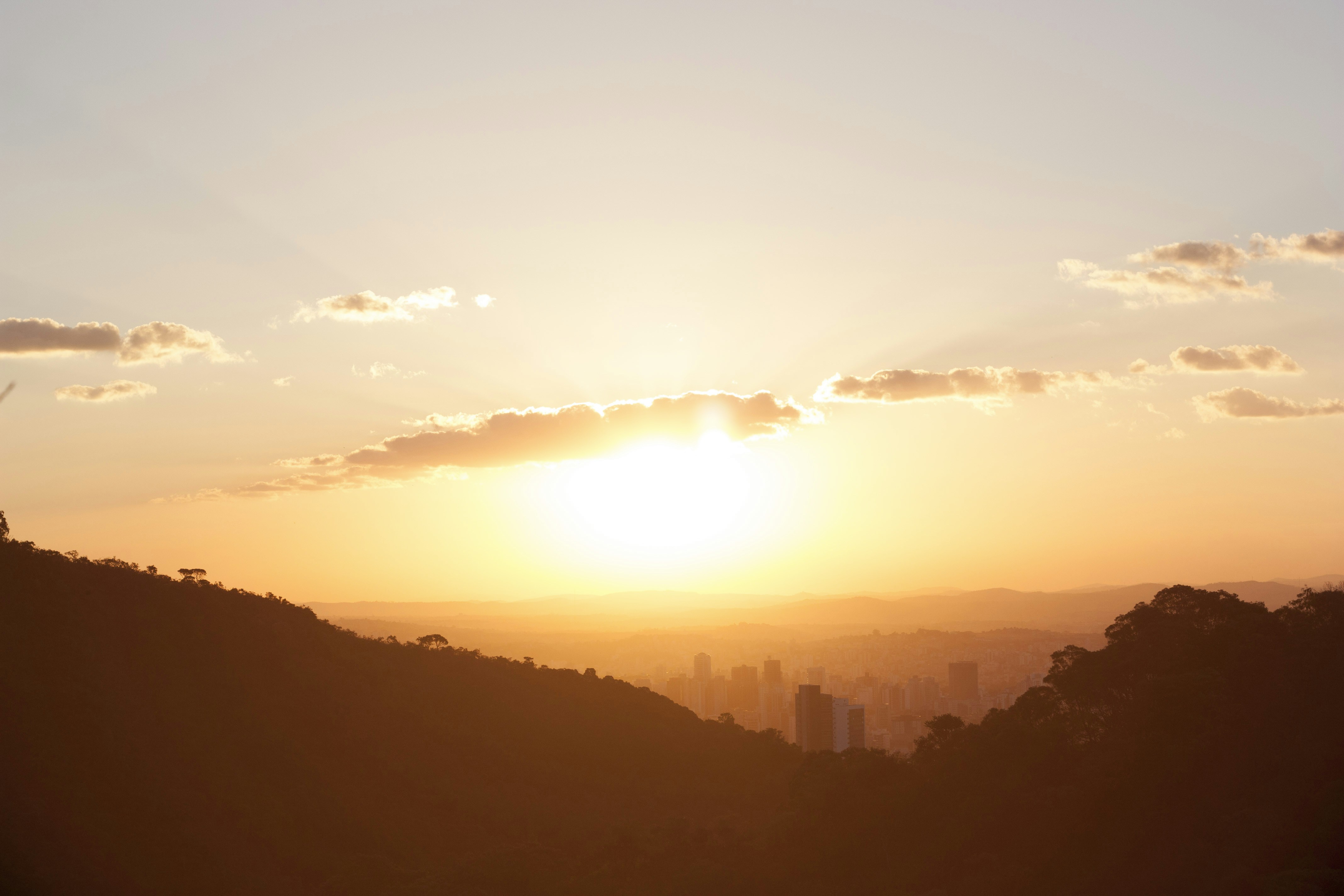 Free Unsplash photo from Allyson Souza