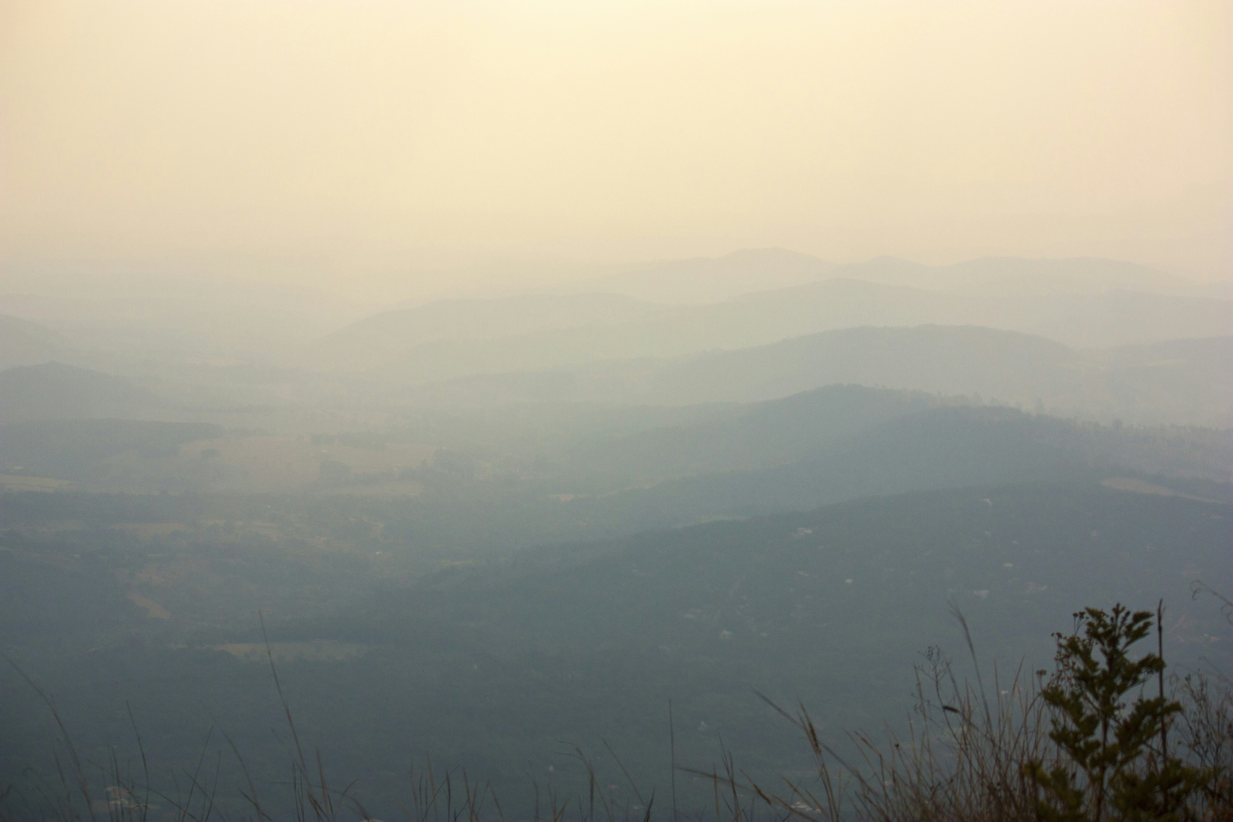 Free Unsplash photo from Allyson Souza