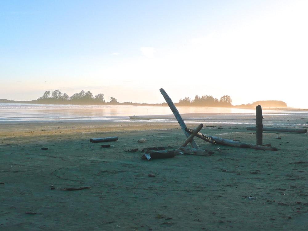 black driftwood on seashore